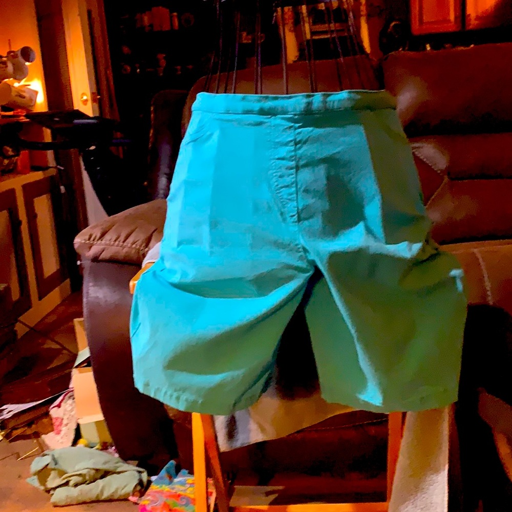 Laura Scott shorts-fake zipper front. Size XL